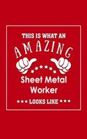 This is What an Amazing Sheet Metal Worker Look Like: Appreciation Gift Journal for Employee, Coworker or Boss