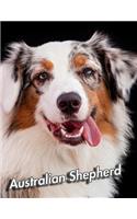 Australian Shepherd: Weekly Calendar July 2019 - December 2021 30 Months 131 pages 8.5 x 11 in. Planner Diary Organizer Agenda Appointment To-Do Soft Cover