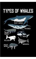 Types of Whales Blue Whale Fin Back Sperm Whale Orca Beluga Narwhal Right Whale