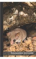 tasmania possum