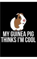 My Guinea Pig Thinks I'm Cool