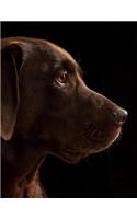 Brown Labrador Retriever Notebook