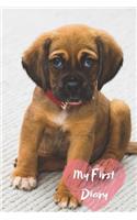 My First Diary