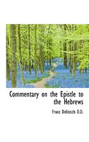 Commentary on the Epistle to the Hebrews, Volume 2