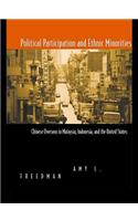 Political Participation and Ethnic Minorities
