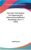Die Lehre Vom Denken Zur Erganzung Der Naturwissenschaftlichen Psychologie, Part 1-3 (1903)