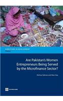 Are Pakistan's Women Entrepreneurs Being Served by the Microfinance Sector?