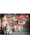 Feline Blues 2017
