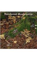 Rainforest Mushrooms 2018