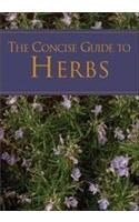 A Concise Guide To Herbs