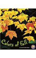Colors of Fall: (Colors All Around)