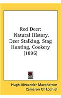 Red Deer