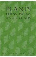 Plants - Ferns, Palms and Cycads