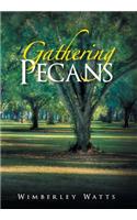 Gathering Pecans