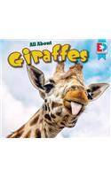 All about Giraffes