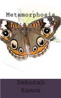 Metamorphosis - A Story Of A Caterpillar