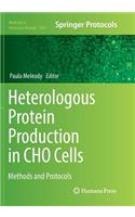 Heterologous Protein Production in Cho Cells