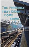 The Prodigal That Didn't Come Home: Navigating by faith through grief and disillusionment(English)