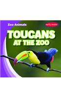 Toucans at the Zoo