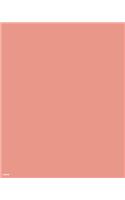 Notebook: bubble gum pink, school supplies, journaling, 80 pages