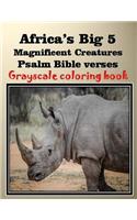 Africa's Big 5 Magnificent Creatures Psalm Bible verses: Gray scale Coloring Book