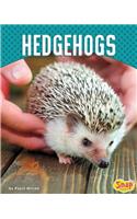 Hedgehogs