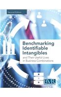 Benchmarking Identifiable Intangibles and Their Useful Lives in Business Combinations, Second Edition