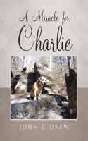 A Miracle for Charlie