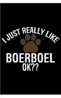 I Just Really Like Boerboel Ok?