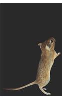 Notizbuch Gerbil Wüstenrennmaus, liniert, 120 Seiten