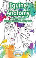Equine Anatomy