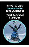 If You Too Love Snowmobiling Raise Your Hands.. If Not, Raise Your Standards