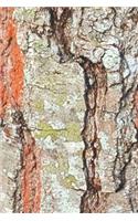 2020 Weekly Planner Oak Tree Cracked Bark Photo 134 Pages: 2020 Planners Calendars Organizers Datebooks Appointment Books Agendas