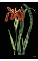 Journal: Botanical Nature Art Print (12), 6" x 9", Lined Journal, Blank Journal (Diary, Notebook) For Writing - [Quality Binding]