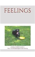 Feelings