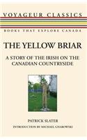 Yellow Briar