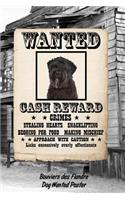 Bouviers Des Flandre Dog Wanted Poster