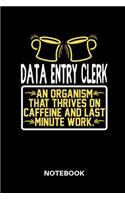 Data Entry Clerk - Notebook