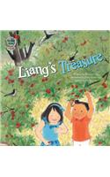 Liang's Treasure