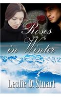 Roses in Winter