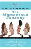 Momentous Journey