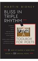 Bliss in Triple Rhythm--A Toolbox for Poets: Nine Ways to Shape A Word Song: Shown in 300 Original Poems