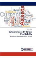 Determinants of Firm's Profitability