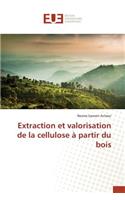 Extraction Et Valorisation de la Cellulose À Partir Du Bois