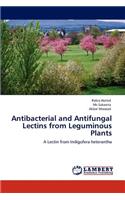 Antibacterial and Antifungal Lectins from Leguminous Plants