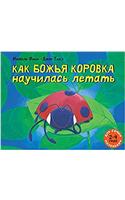 KAK BOZHJA KOROVKA NAUCHILAS LETAT