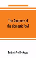 anatomy of the domestic fowl