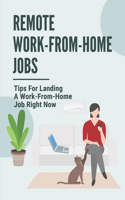 Remote Work-From-Home Jobs: Tips For Landing A Work-From-Home Job Right Now: Seeking A Job