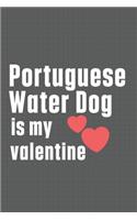 Portuguese Water Dog is my valentine: For Portuguese Watchdog Fans