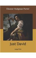 Just David: Large Print